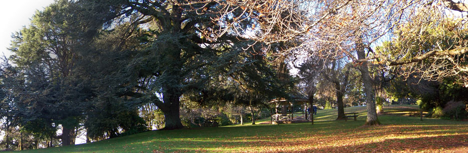 Daylesford Botanic Gardens